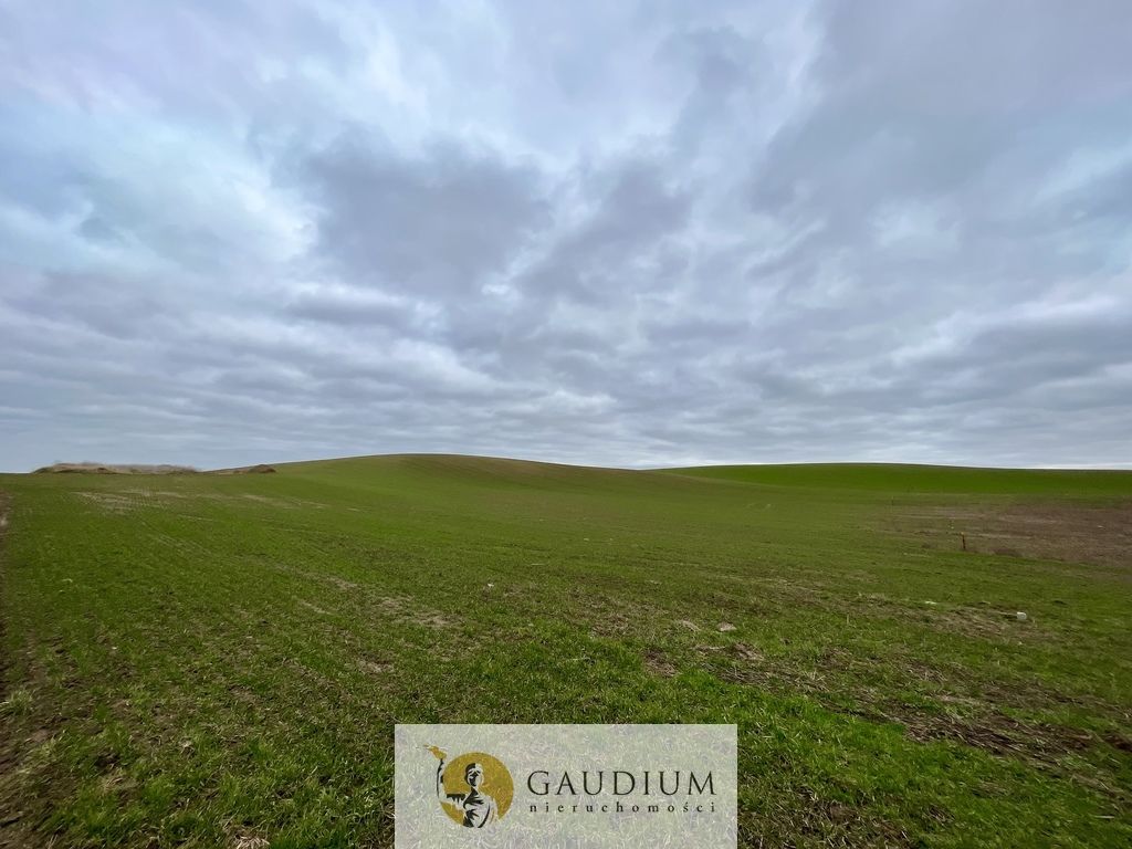 Działka Lubiszewo Tczewskie. Zdjęcie 6