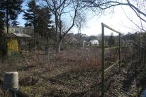 Działka rod Kostrzyn nad Odrą. Zdjęcie 1