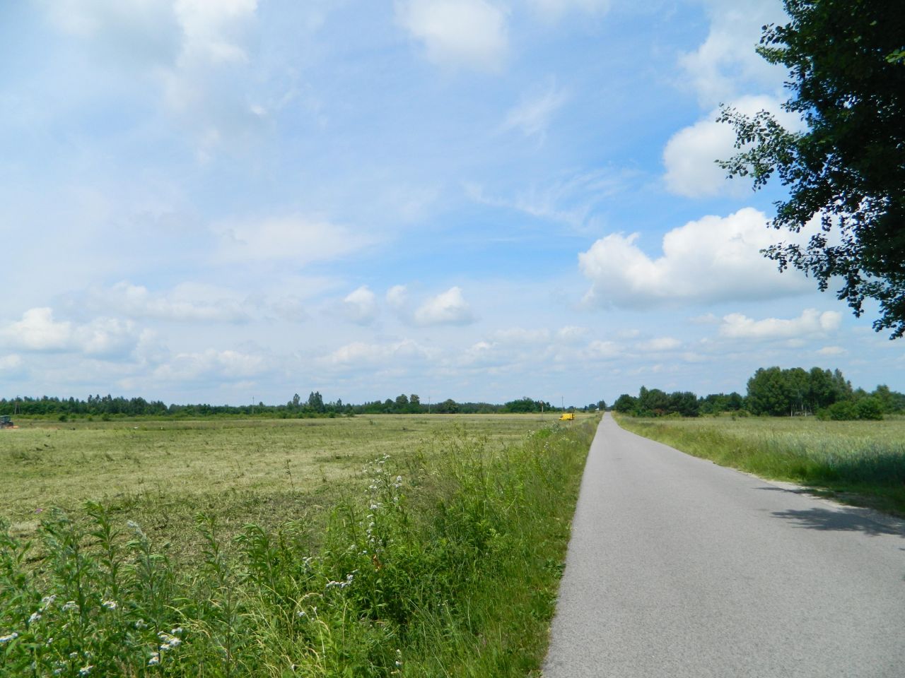 Działka budowlana Żarnów, ul. Górnicza