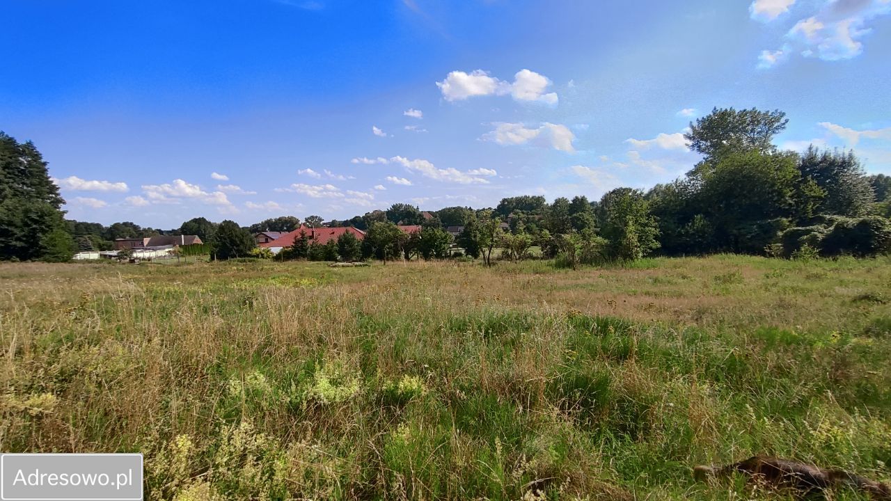 Działka rolna Zielona Góra Nowy Kisielin, ul. Nowy Kisielin-Dolna. Zdjęcie 7