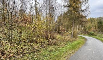 Działka rolno-budowlana Łowczów, Łowczòw