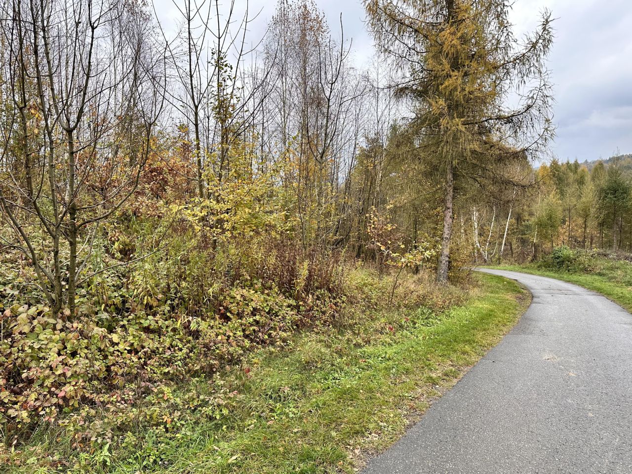 Działka rolno-budowlana Łowczów