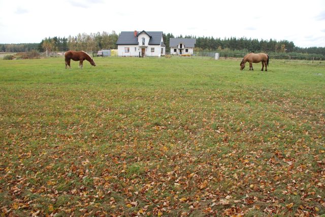 Działka budowlana Módłki. Zdjęcie 2