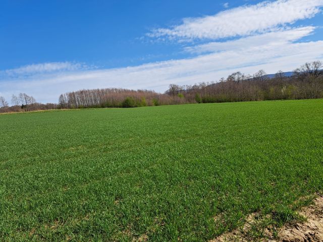 Działka budowlana Bielsko-Biała Komorowice Krakowskie, ul. Świtezianki. Zdjęcie 1