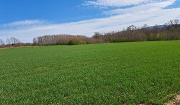 Działka budowlana Bielsko-Biała Komorowice Krakowskie, ul. Świtezianki