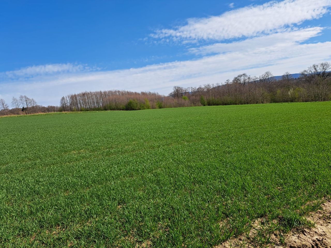 Działka budowlana Bielsko-Biała Komorowice Krakowskie, ul. Świtezianki