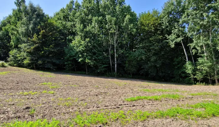 Działka budowlana Jastrzębie-Zdrój Ruptawa, ul. Hugona Kołłątaja