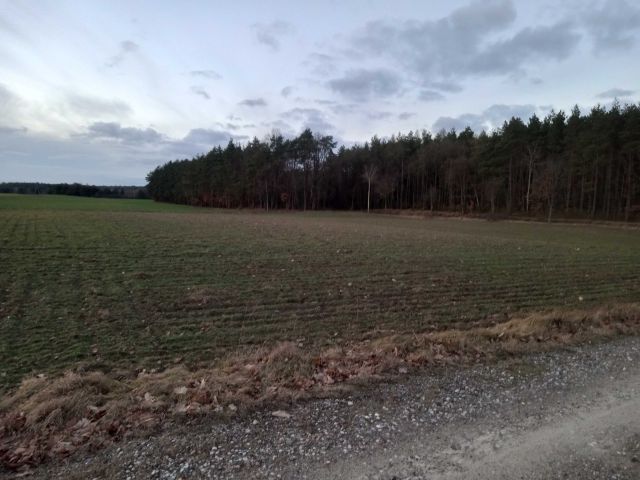 Działka budowlana Ciche. Zdjęcie 1