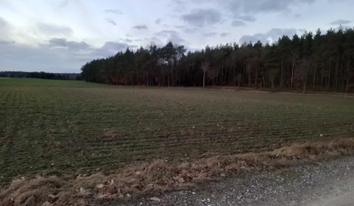 Działka budowlana Ciche
