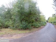 Działka budowlana Żółwin, ul. Porannej Zorzy. Zdjęcie 1