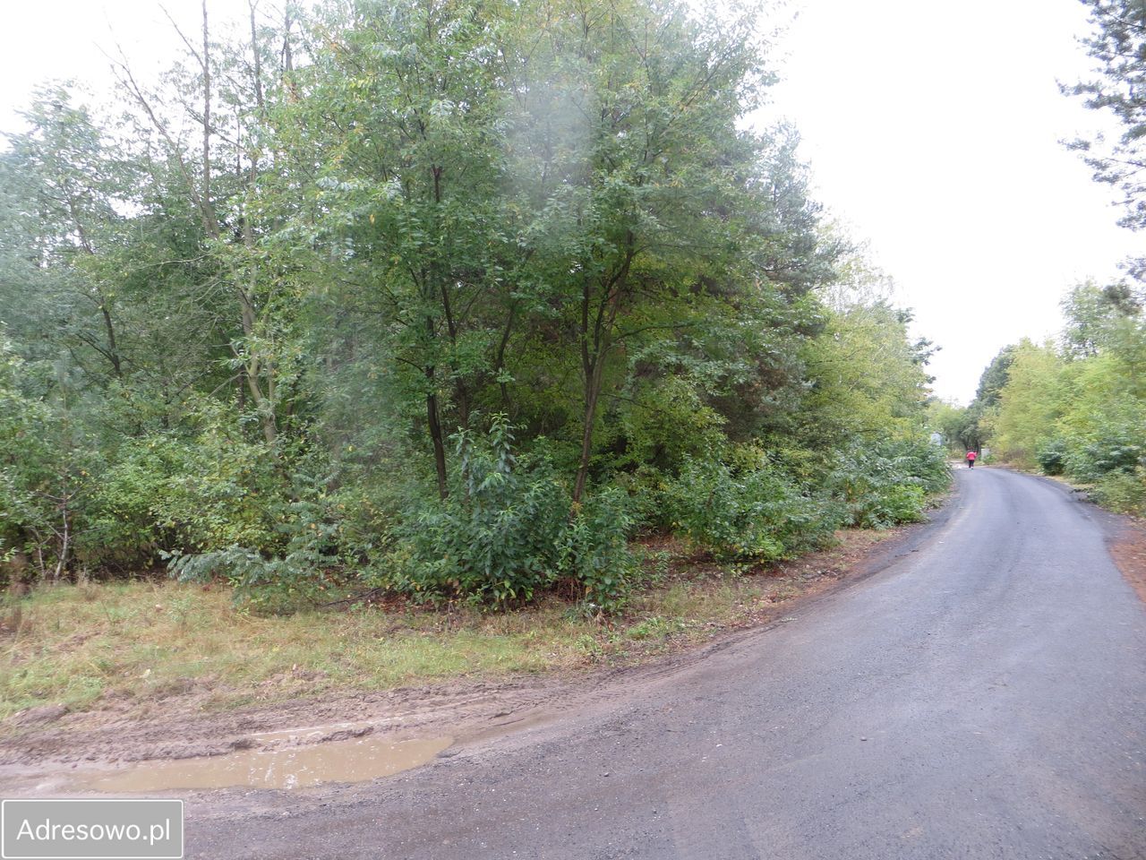 Działka budowlana Żółwin, ul. Porannej Zorzy. Zdjęcie 2