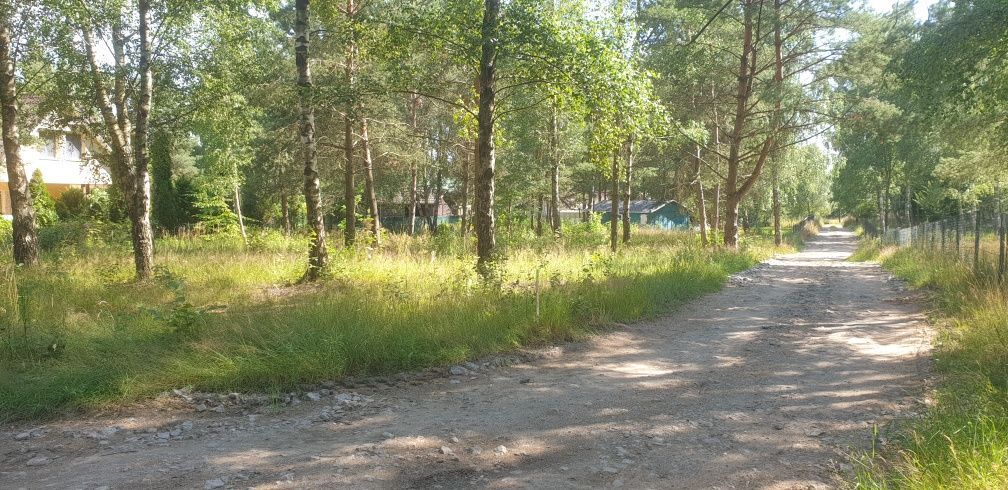 Działka rekreacyjna Bożepole Królewskie. Zdjęcie 2