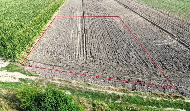 Działka budowlana Gąsocin, ul. Niska