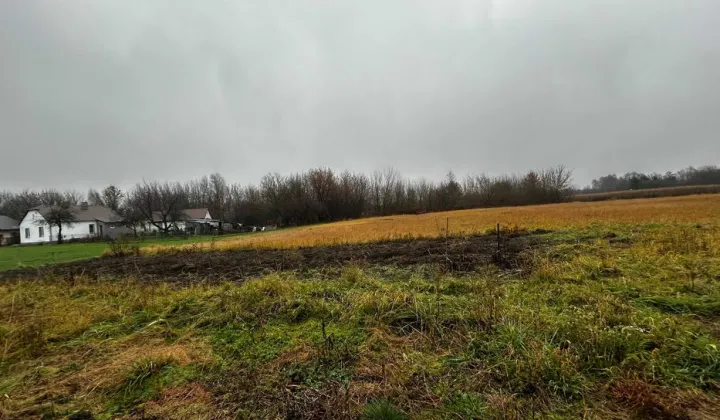 Działka budowlana Terespol, ul. Adama Asnyka