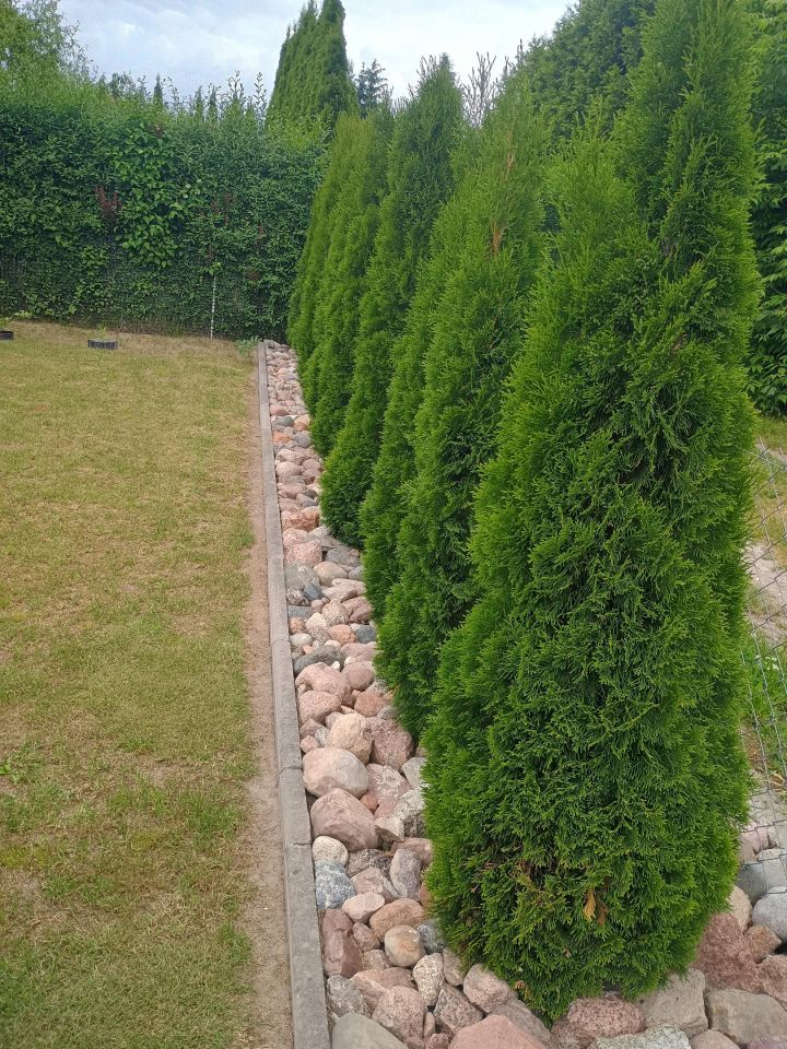 Działka rod Płock Winiary, ul. Medyczna. Zdjęcie 19