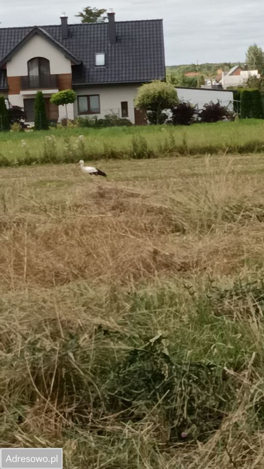 dom wolnostojący, 4 pokoje Rąbień. Zdjęcie 3