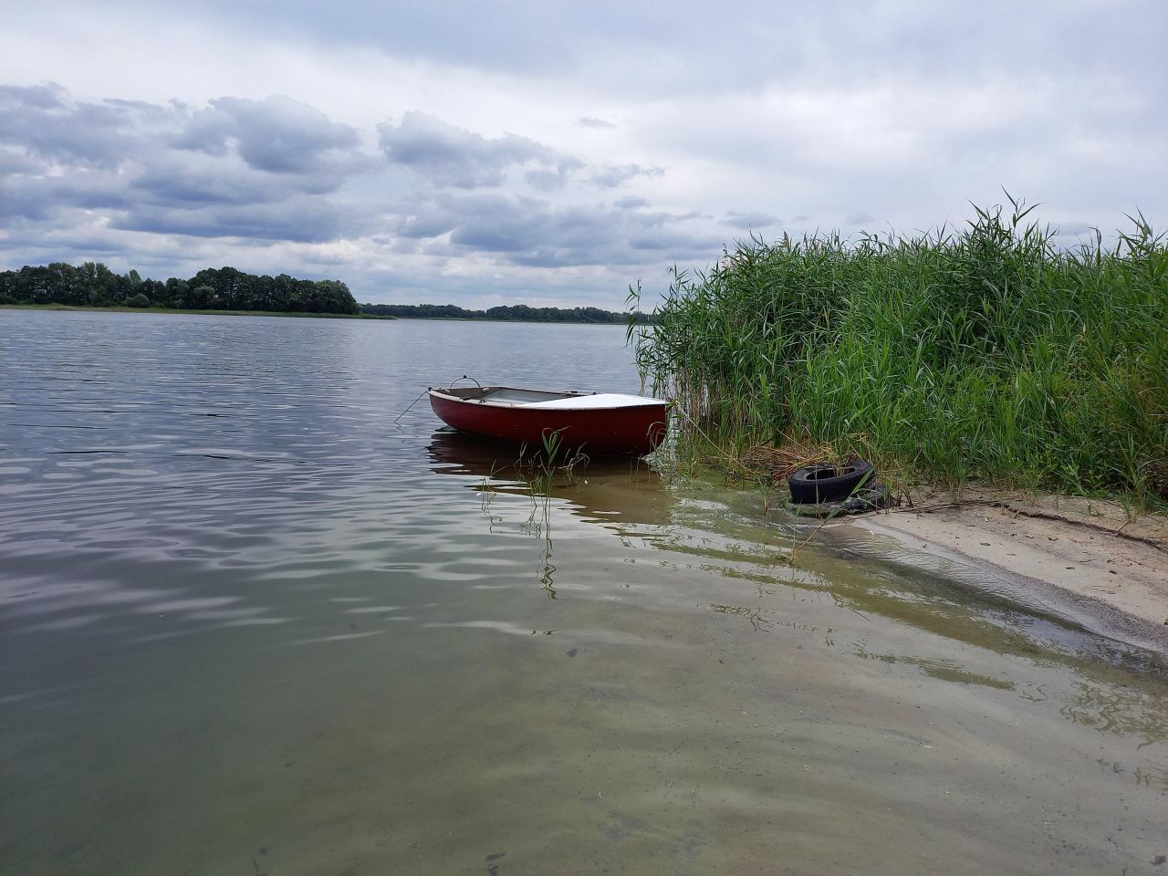 Działka inna Wiekowo. Zdjęcie 14