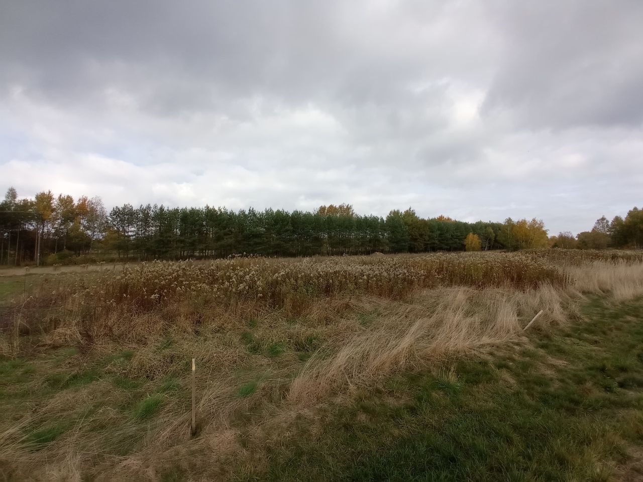 Działka budowlana Rakszawa Pod Brzózą