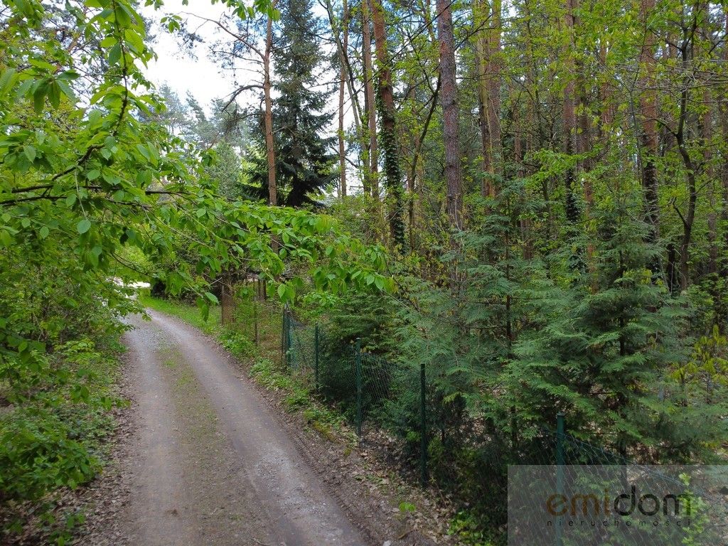 Działka leśna Siestrzeń. Zdjęcie 3