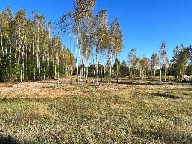 Działka rekreacyjna Okuninka. Zdjęcie 1