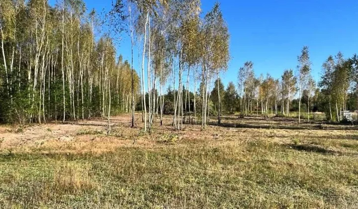 Działka rekreacyjna Okuninka