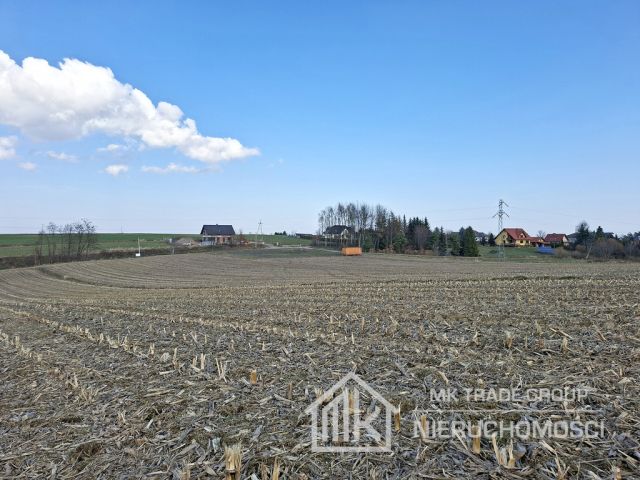 Działka Bodzanów. Zdjęcie 7