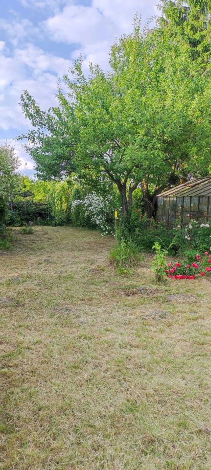 Działka rod Dąbrowa Górnicza. Zdjęcie 2