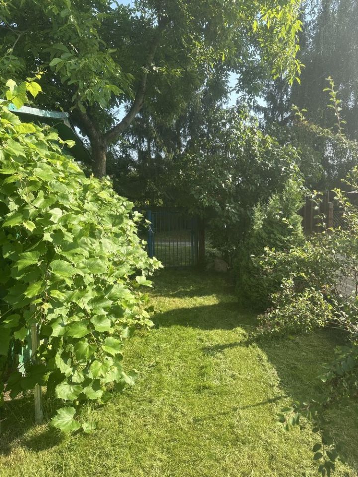 Działka rod Stargard, ul. Klonowa. Zdjęcie 6