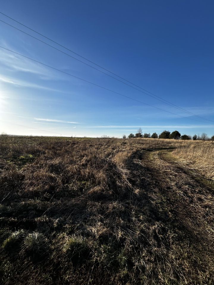 Działka rolno-budowlana Moryń, ul. Owocowa. Zdjęcie 4