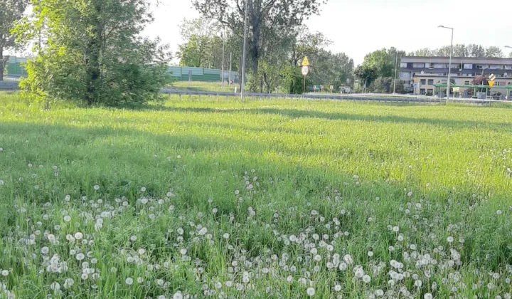 Działka rolno-budowlana Krośniewice, ul. Łęczycka