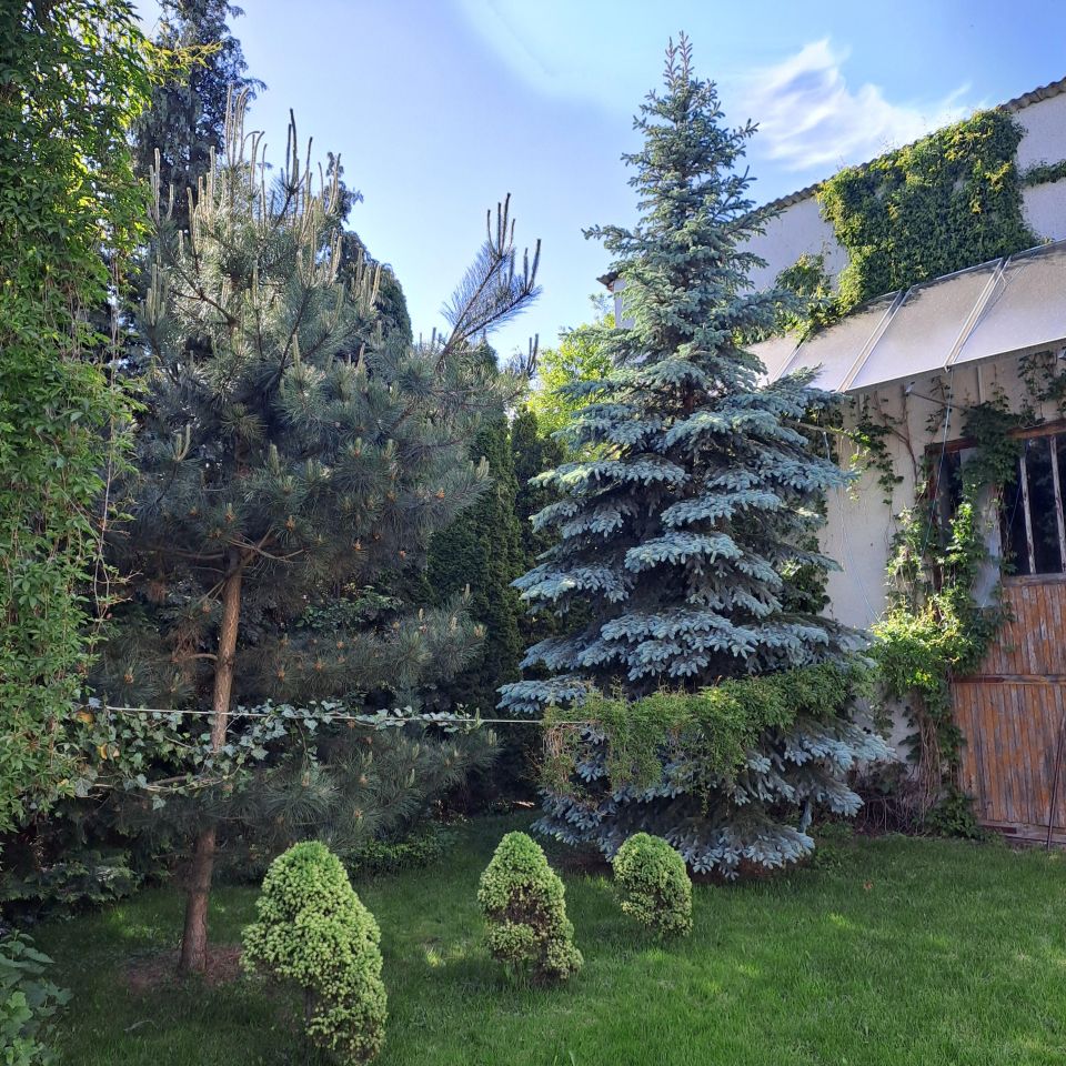 inny, 4 pokoje Dębowica. Zdjęcie 7