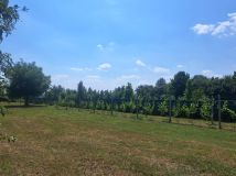 Działka rolno-budowlana Strojec, ul. Zacisze. Zdjęcie 4