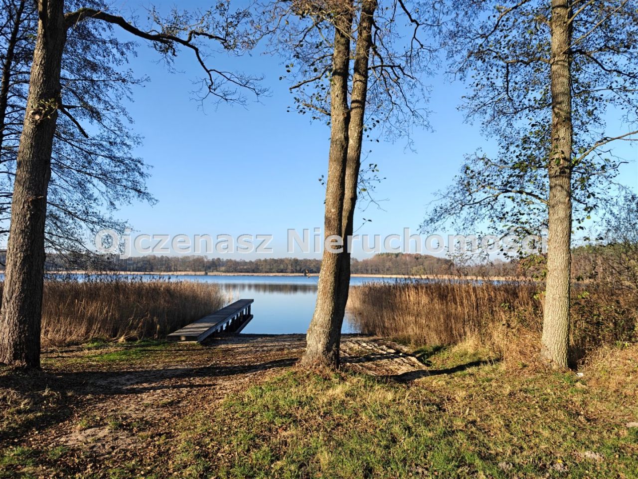 Działka budowlana Jeleń. Zdjęcie 12