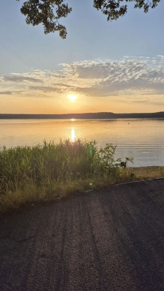 Działka rekreacyjna Zarzęcin. Zdjęcie 8