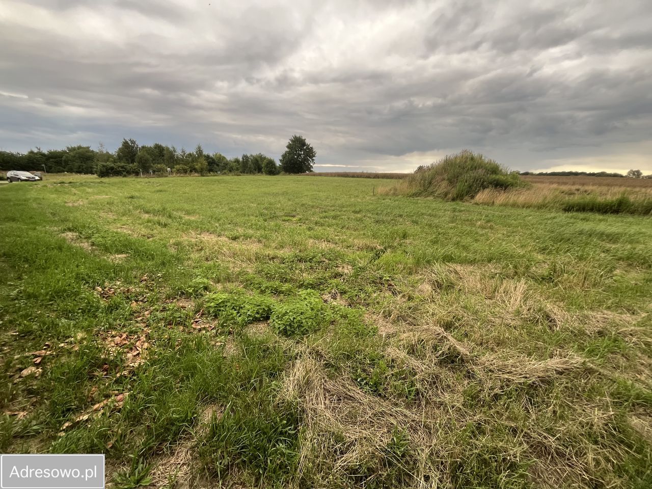 Działka budowlana Bierzyce, ul. Wrocławska. Zdjęcie 6