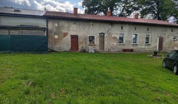 bliźniak Świecie Kołobrzeskie