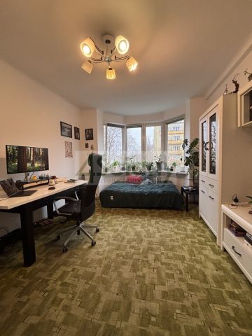 Mieszkanie 1-pokojowe Warszawa Praga-Południe, al. Jerzego Waszyngtona. Zdjęcie 12