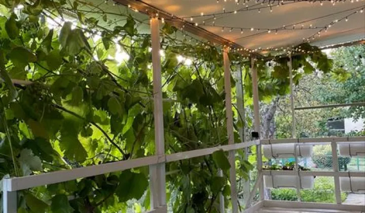 Działka rod Stare Obłuże