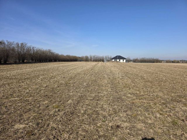 Działka budowlana Mochle, ul. Patriotów z Mochla. Zdjęcie 1