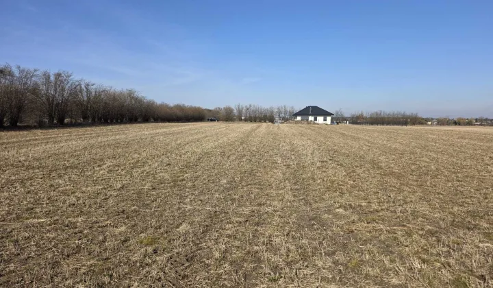 Działka budowlana Mochle, ul. Patriotów z Mochla