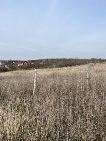 Działka rolno-budowlana Górzyca. Zdjęcie 1