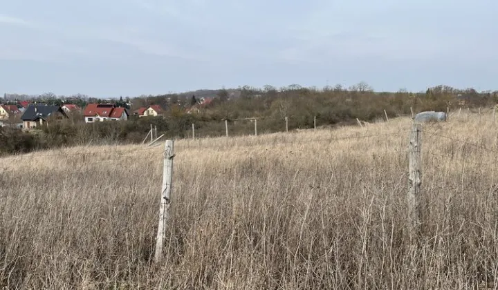 Działka rolno-budowlana Górzyca