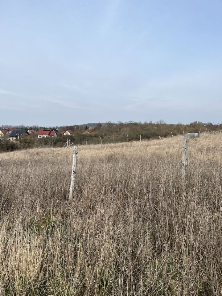 Działka rolno-budowlana Górzyca. Zdjęcie 1