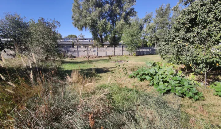 Działka budowlana Warszawa Białołęka, ul. Dorodna