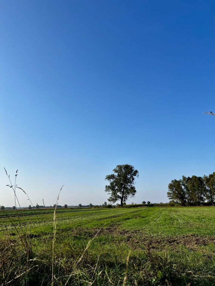 Działka rolna Skowarcz, ul. Łąkowa. Zdjęcie 5