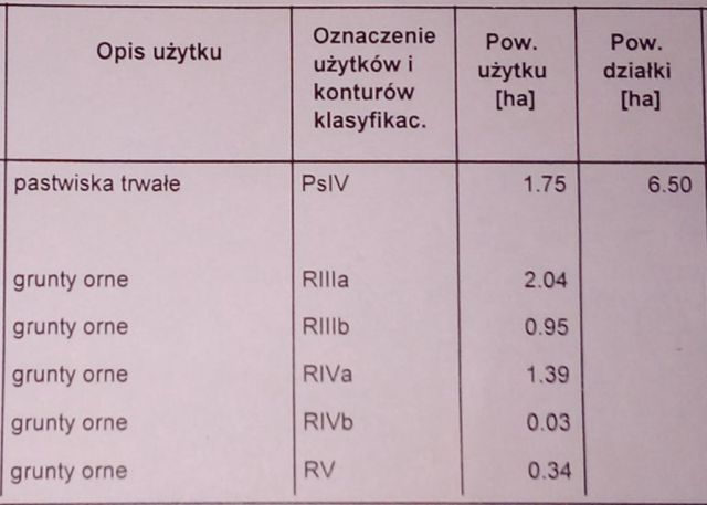 Działka rolna Wępiły. Zdjęcie 3