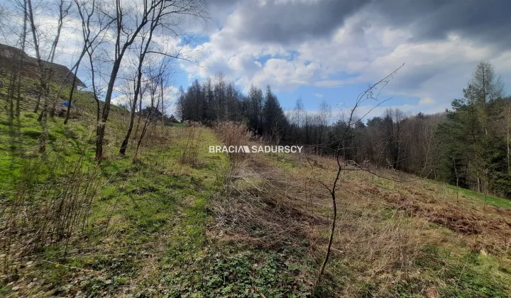 Działka budowlana Borzęta