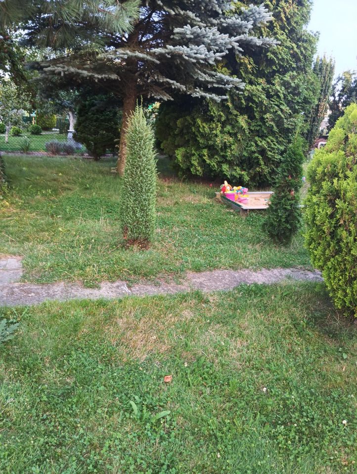 Działka rod Wieluń, ul. Polskiej Organizacji Wojskowej. Zdjęcie 7