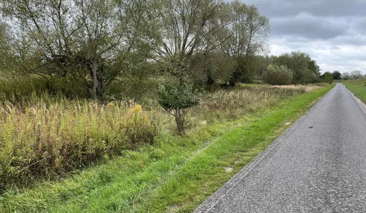 Działka rolna Czernidła