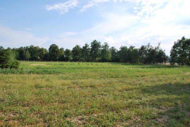 Działka rolno-budowlana Wrocław Psie Pole, ul. Zagaje. Zdjęcie 3